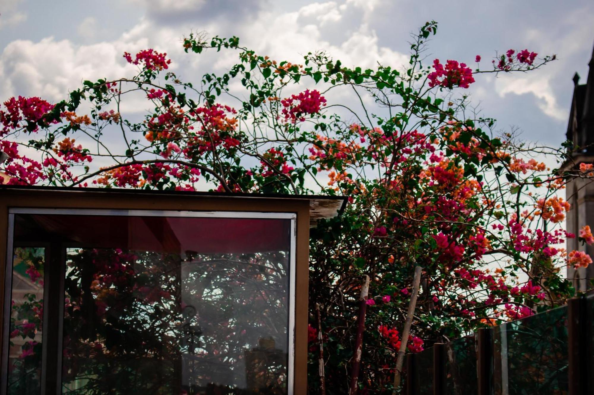 Boutique Hotel Casa Teatro Manaus Zewnętrze zdjęcie